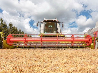 В Беларуси намолочено 6 млн 275 тыс. тонн зерна