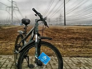 Беларусь присоединилась к акции «30 дней на велосипеде»
