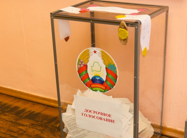 В Беларуси продолжается досрочное голосование на выборах в местные Советы