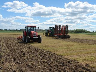 Belarus starts monitoring of agrobusiness companies