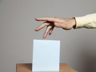 Беларусь: выборы в местные Советы депутатов