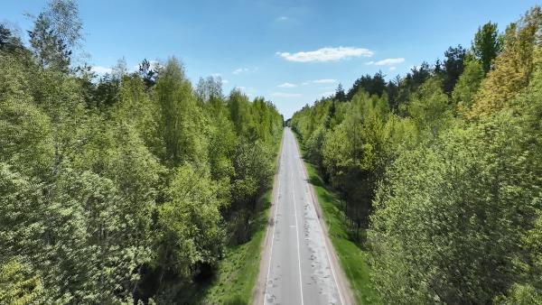 Ограничение на посещение лесов введено в Беларуси