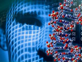 Белорусские ученые создадут базу данных «ДНК-внешности»