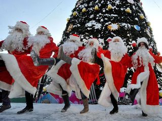 В Минске организовано более 200 точек продаж новогодних ёлок