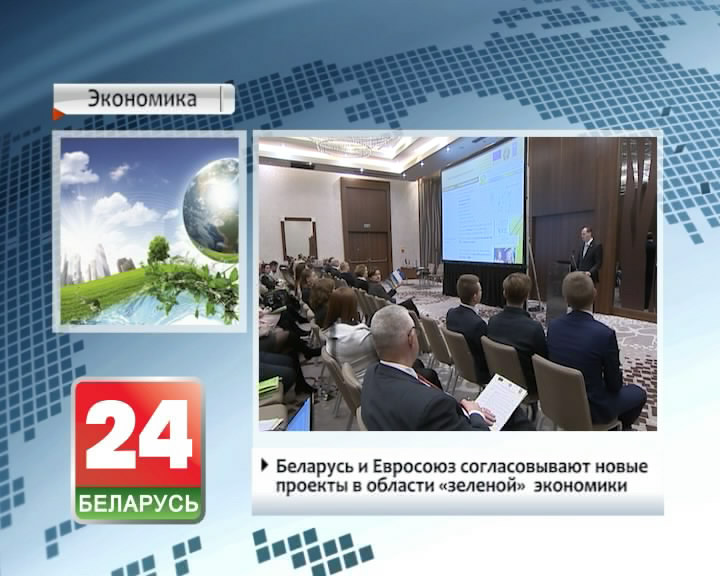 Беларусь і Еўрасаюз узгадняюць новыя праекты ў галіне зялёнай эканомікі