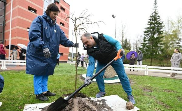 В «Раубичах» в честь 50-летия Центра олимпийской подготовки открыли памятный камень и высадили Аллею Славы