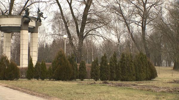 11 thousand trees to be planted in Minsk this spring
