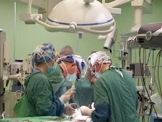 Трансплантология в Беларуси
