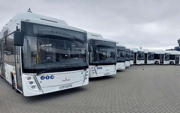 Batch of 10 Belarusian buses delivered to Novorossiysk