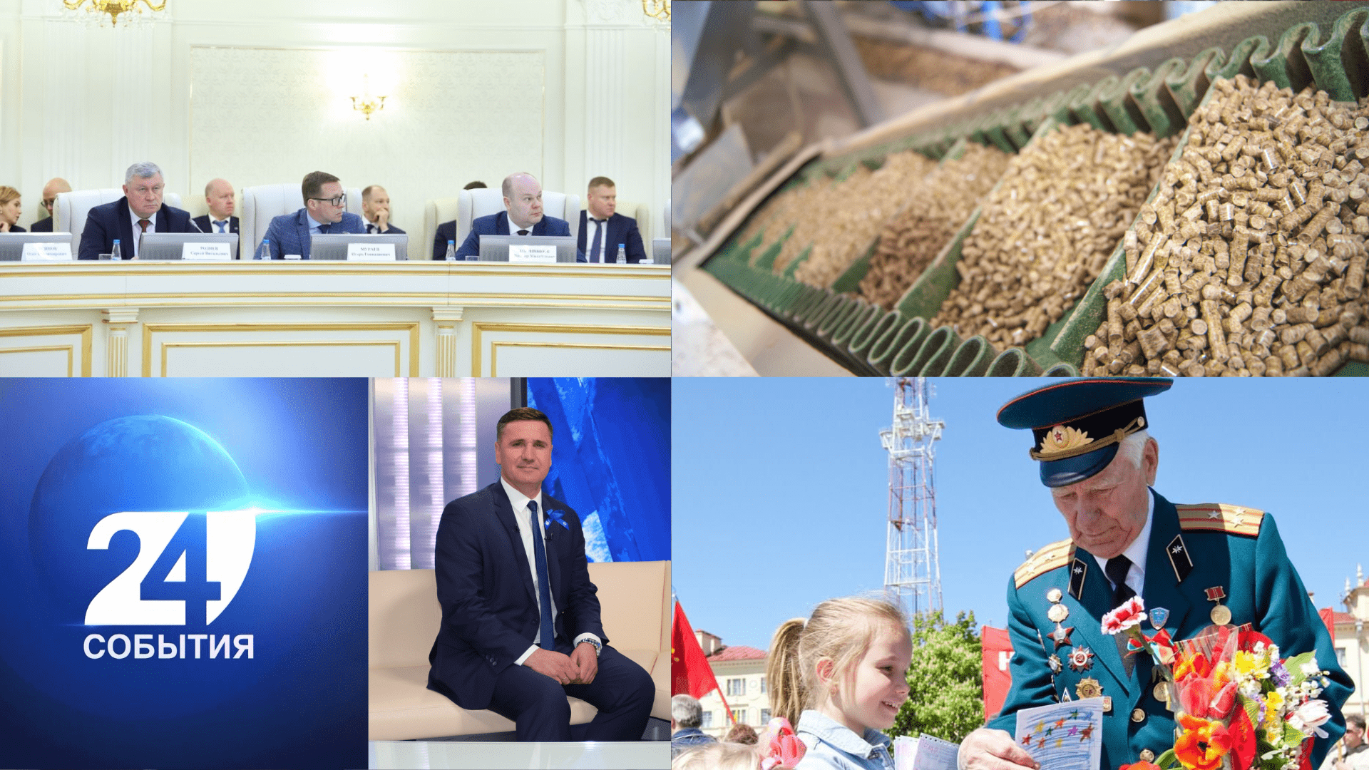 Перспективы сотрудничества Беларуси с регионами России | Развитие пеллетного производства