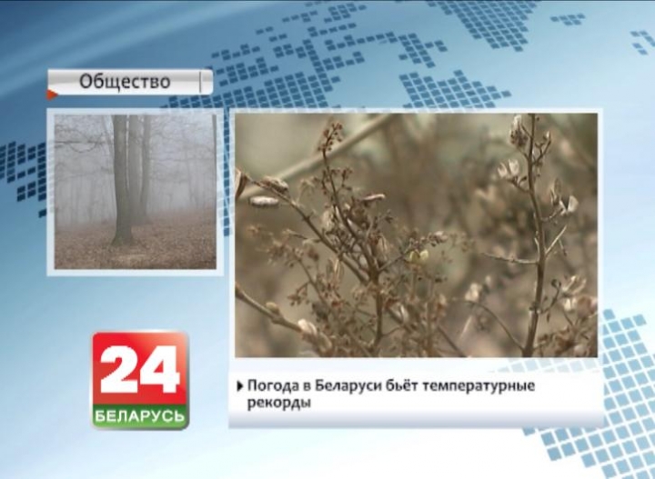 Погода в Беларуси бьет температурные рекорды