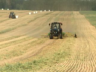 Белорусские аграрии в этом году планируют собрать 7,6 млн тонн зерна