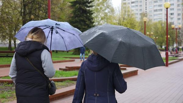 Orange danger level announced in Belarus due to wind and heavy rain
