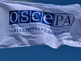 Belarus' initiatives at OSCE PA
