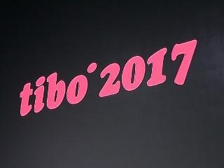 Выставка «ТИБО-2017» проходит в Минске