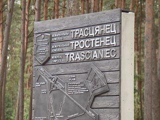 Remains of over 40 Nazi victims buried at the natural boundary Blagovshchina
