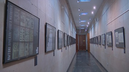 Выставка в Минске - археологические зарисовки в Национальном историческом музее