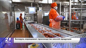 Производство и экспорт белорусской мясной продукции