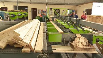 Реформа предпринимательской деятельности в Беларуси затронет 40 тыс. ИП