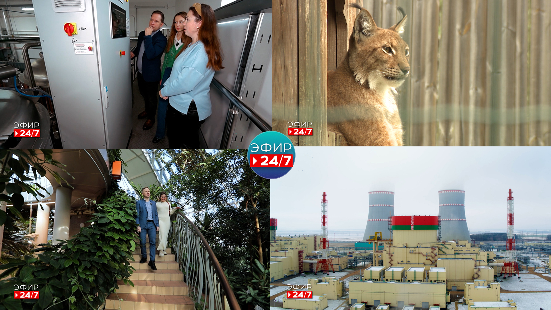 Белорусские полярники завершают XVII антарктический сезон | Всемирный день дикой природы