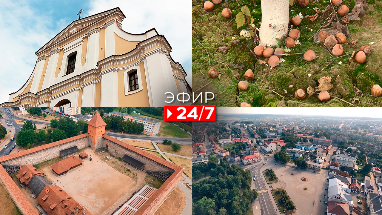 Эфир 24/7   11.11.2022