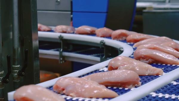 АКЦЕНТЫ ДНЯ