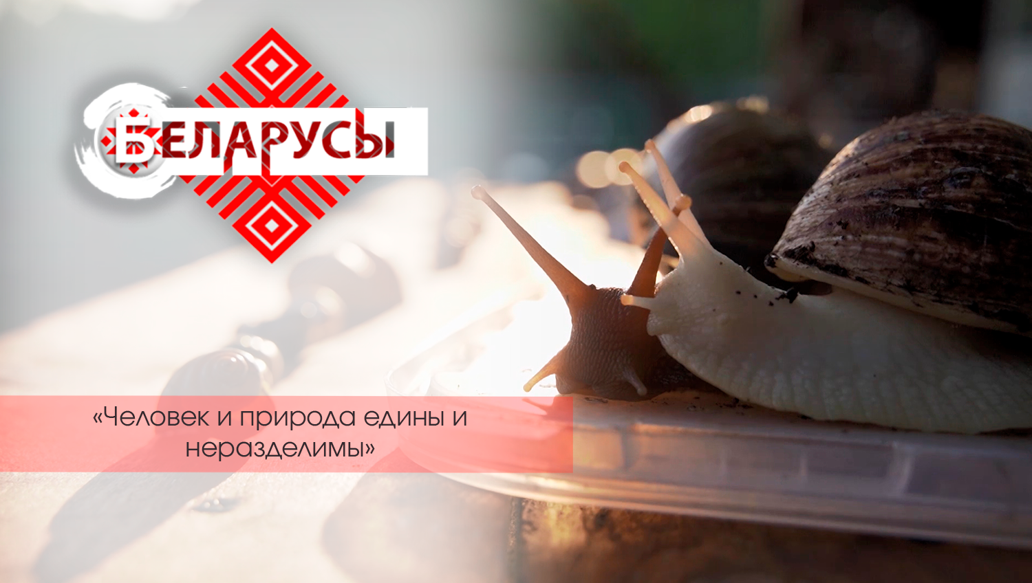 Город или природа, вот в чем вопрос! 