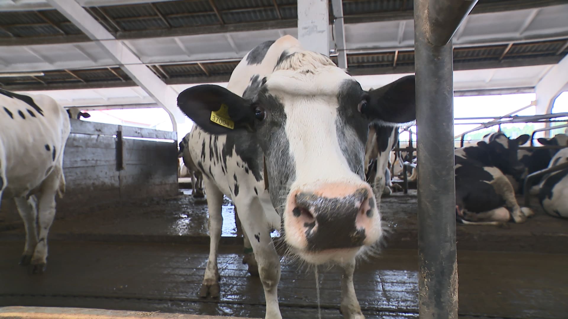 АКЦЕНТЫ ДНЯ