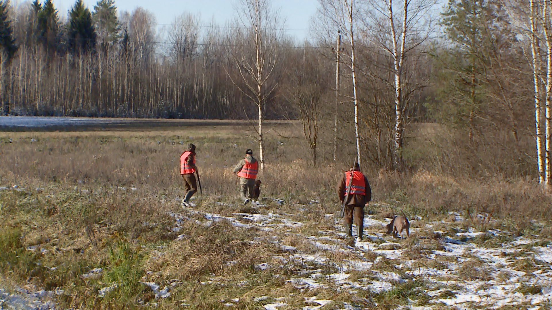 Новые правила охоты вступили в силу в Беларуси