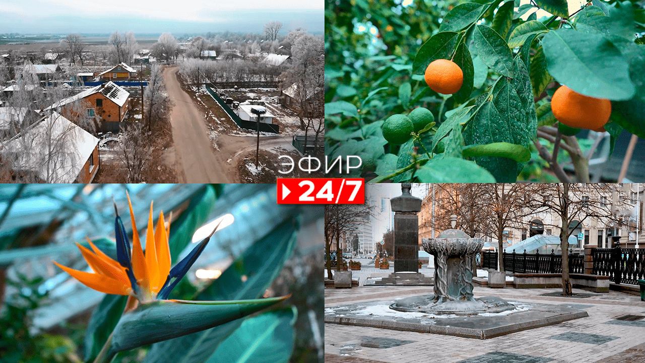 Эфир 24/7   10.02.2023