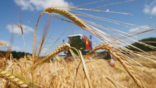 АКЦЕНТЫ ДНЯ