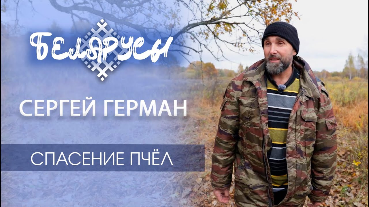 ПОВЕЛИТЕЛЬ диких пчёл. Бортник, спасающий полесскую «аборигенку» – черную пчелу! Сергей Герман