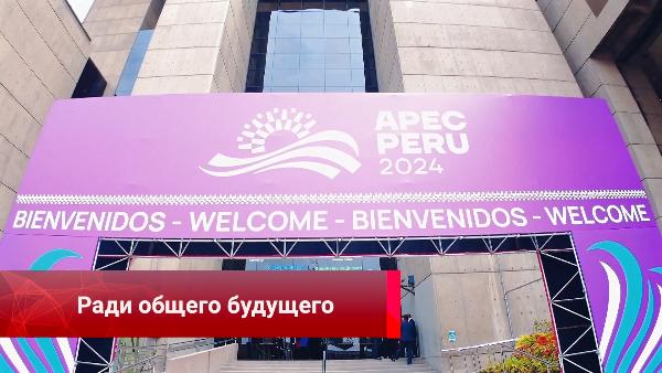 Ради общего будущего, переговоры азиатских лидеров, встречи на саммите АТЭС