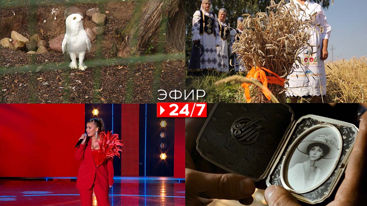 Эфир 24/7 22.07.22