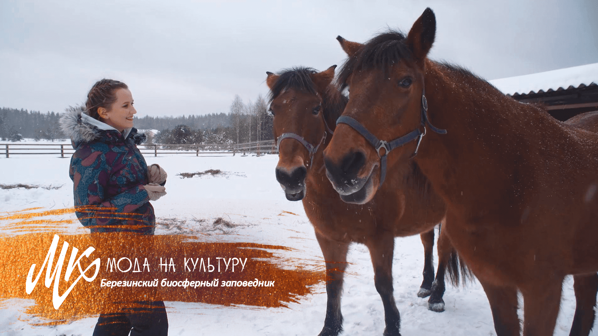 Зимний туризм в Березинском биосферном заповеднике