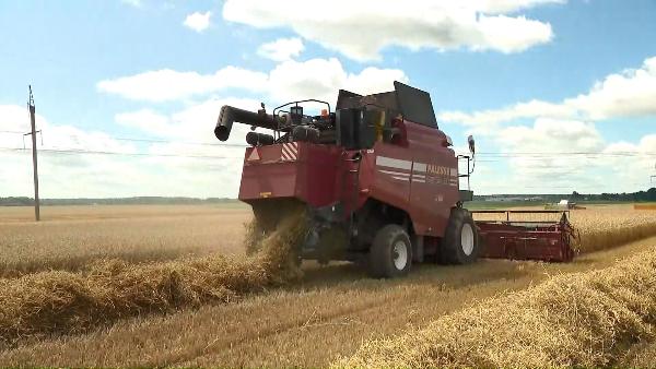 АКЦЕНТЫ ДНЯ