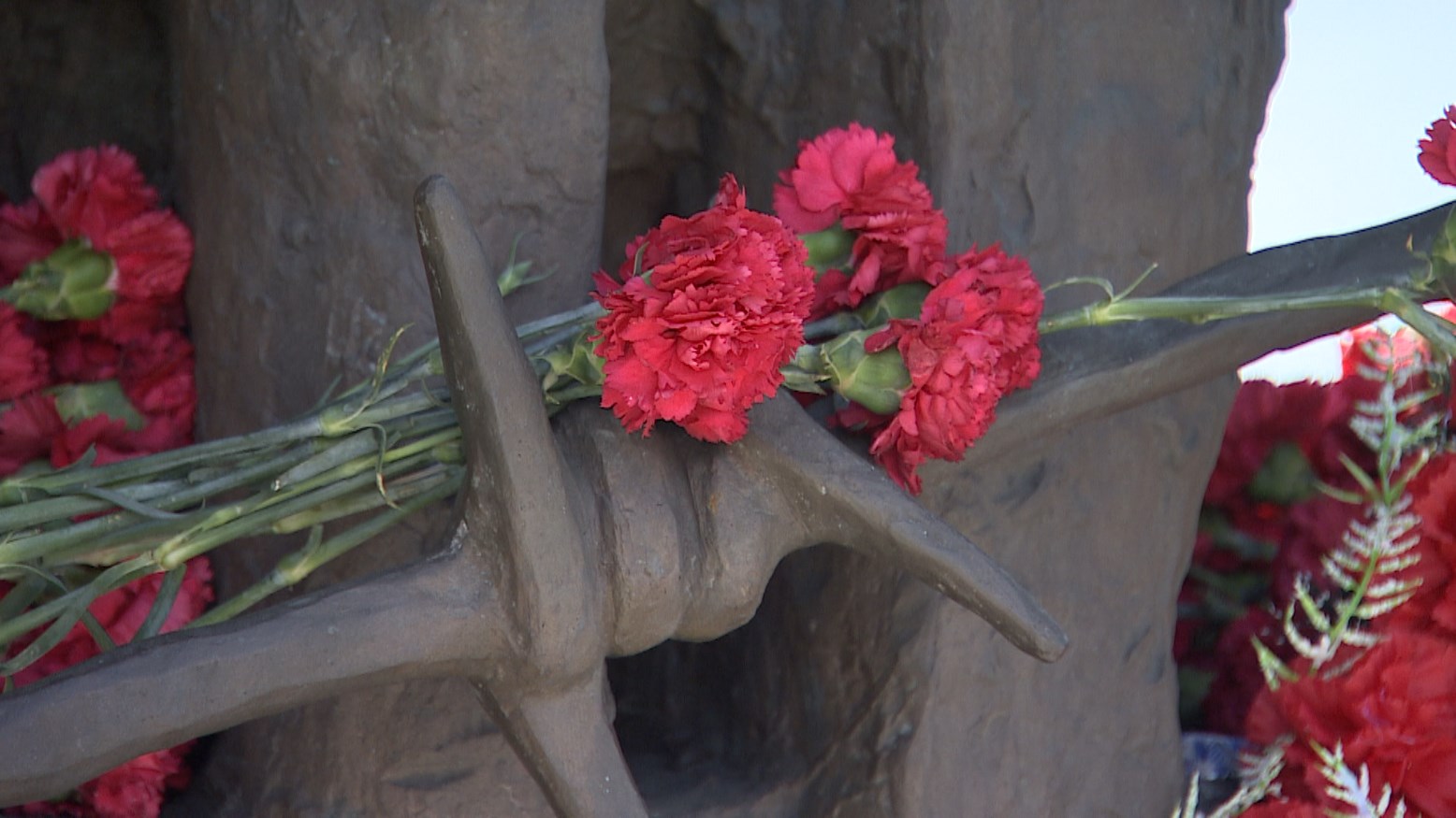 АКЦЕНТЫ ДНЯ