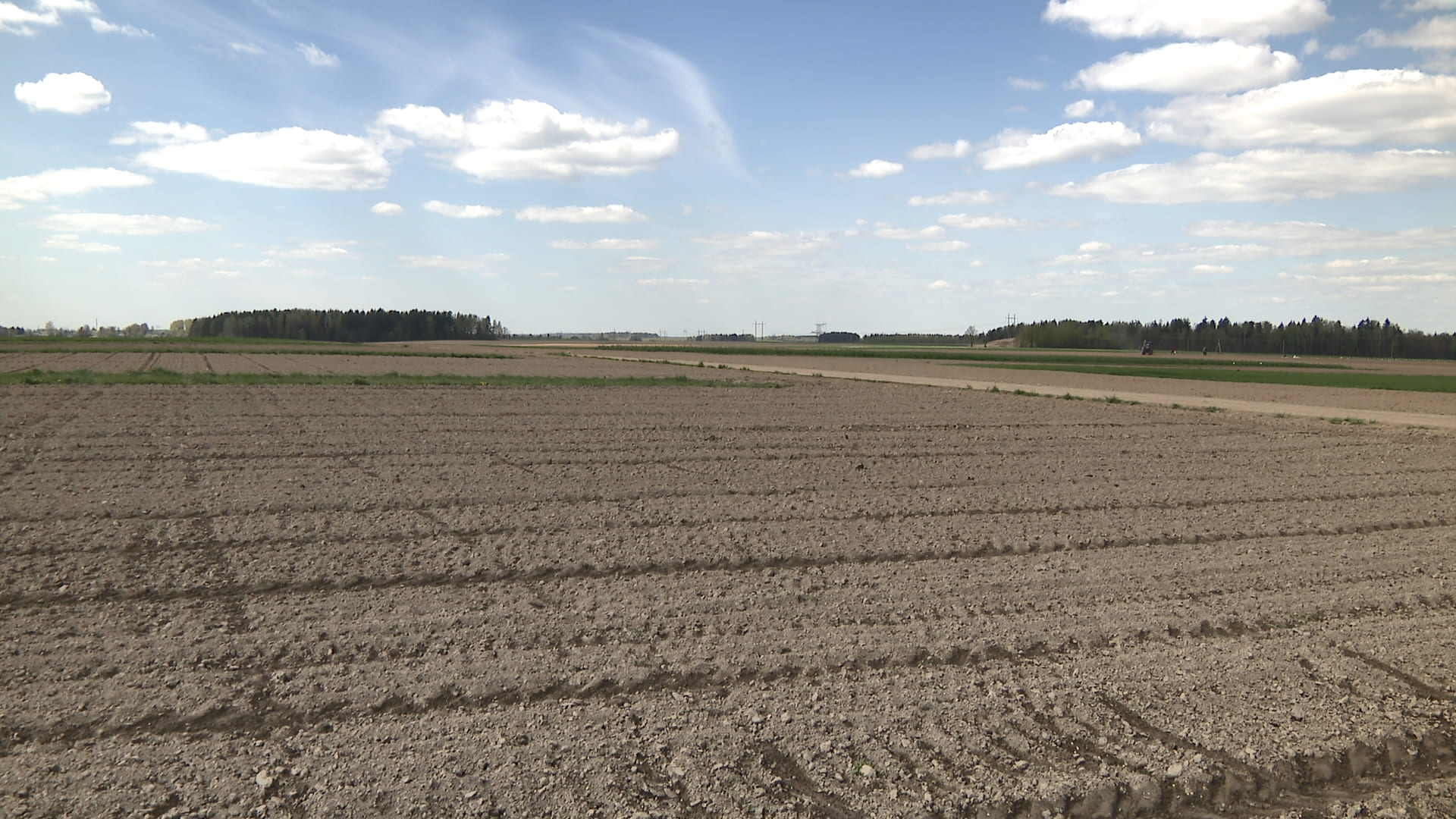 АКЦЕНТЫ ДНЯ