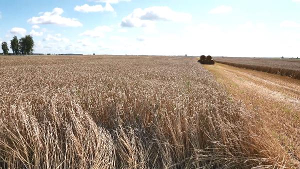 АКЦЕНТЫ ДНЯ