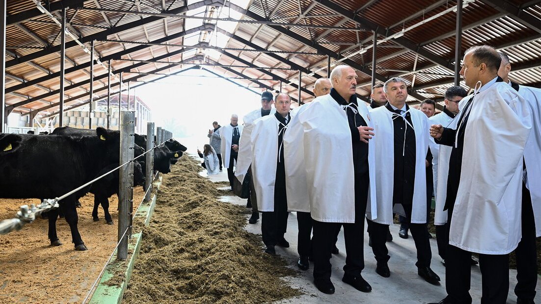 ⚡️ Lukashenko on northern part of Vitebsk Region: people need to live well here