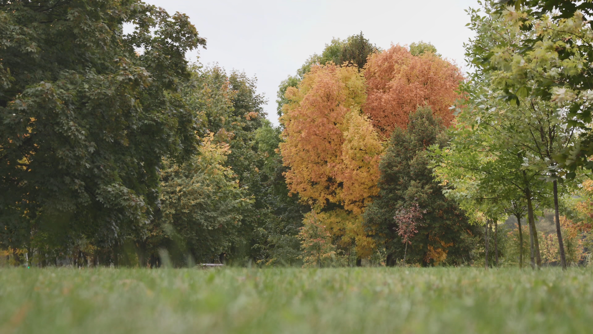 АКЦЕНТЫ ДНЯ