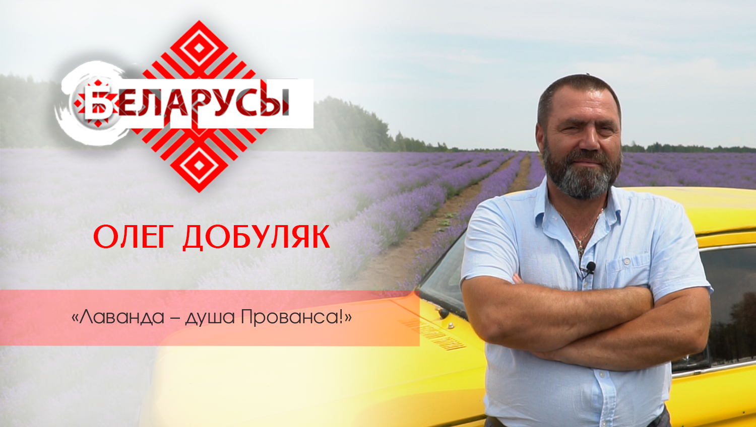 Как покорить Францию не выезжая за границу? Лавандовый Прованс во всей своей красе