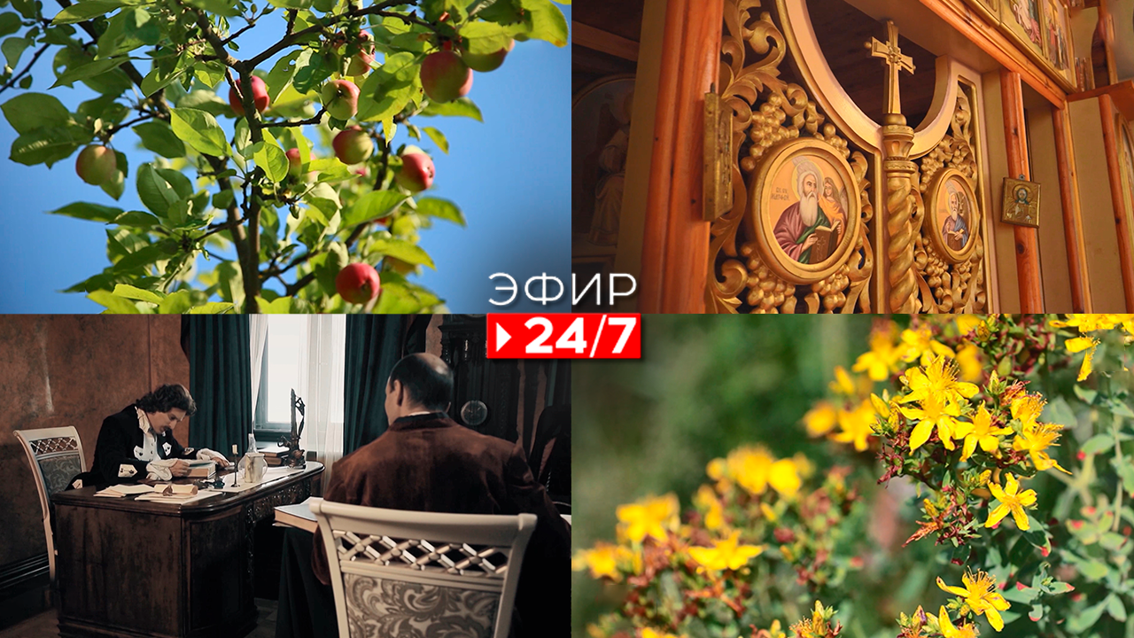 Эфир 24/7   19.08.2022
