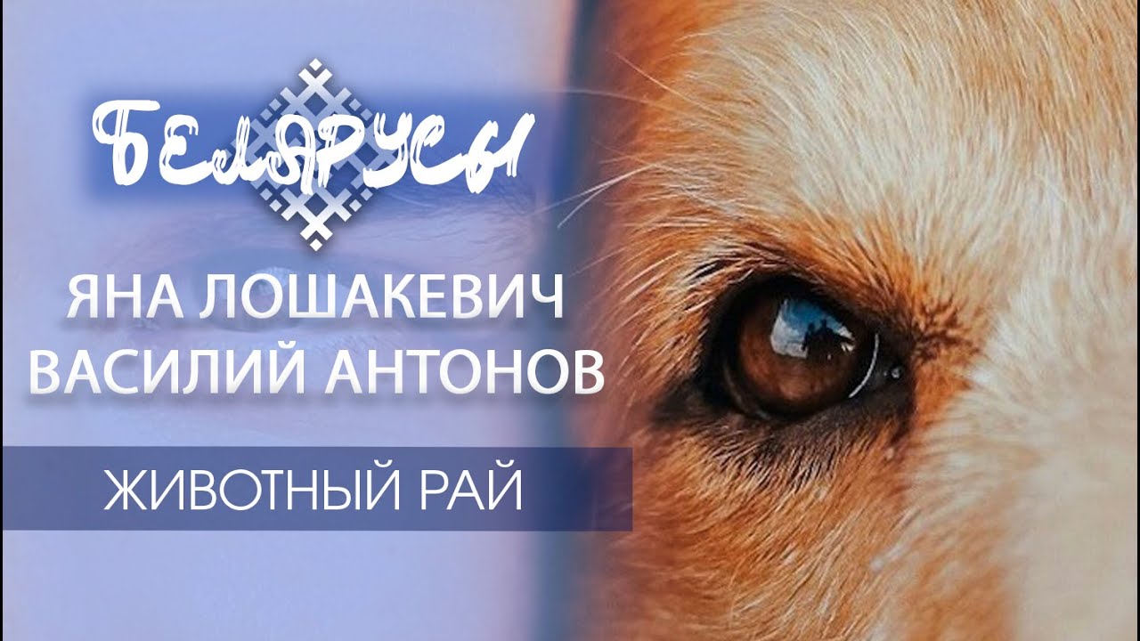 ЖИВОТНЫЙ РАЙ: Как два директора воплощают мечты в жизнь