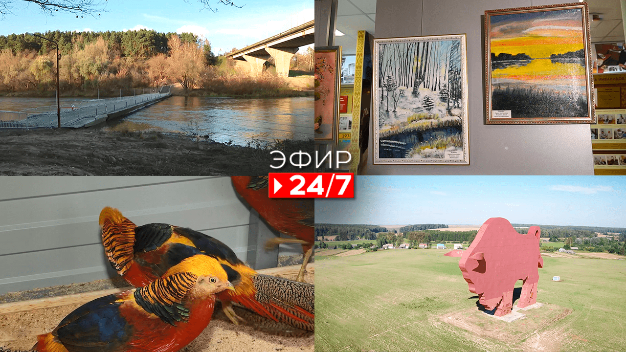 Эфир 24/7   18.11.2022