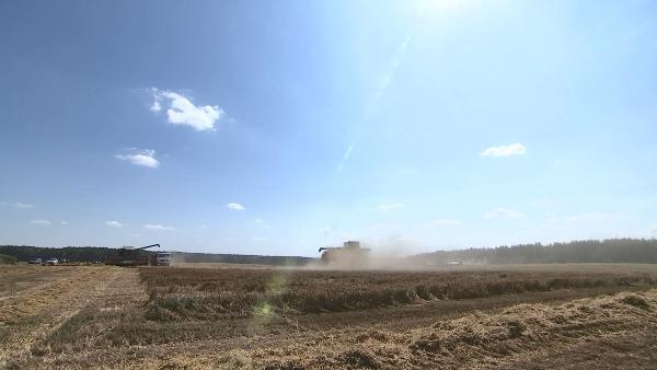 АКЦЕНТЫ ДНЯ