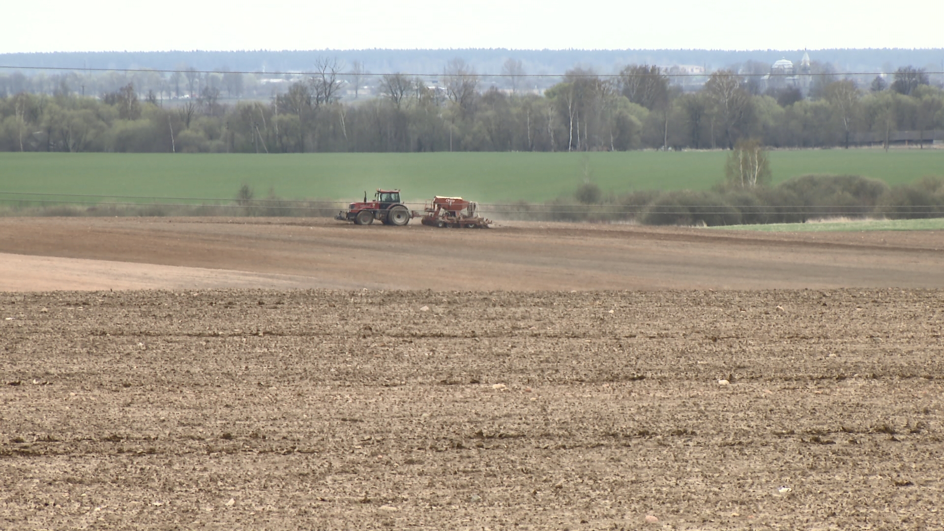 АКЦЕНТЫ ДНЯ