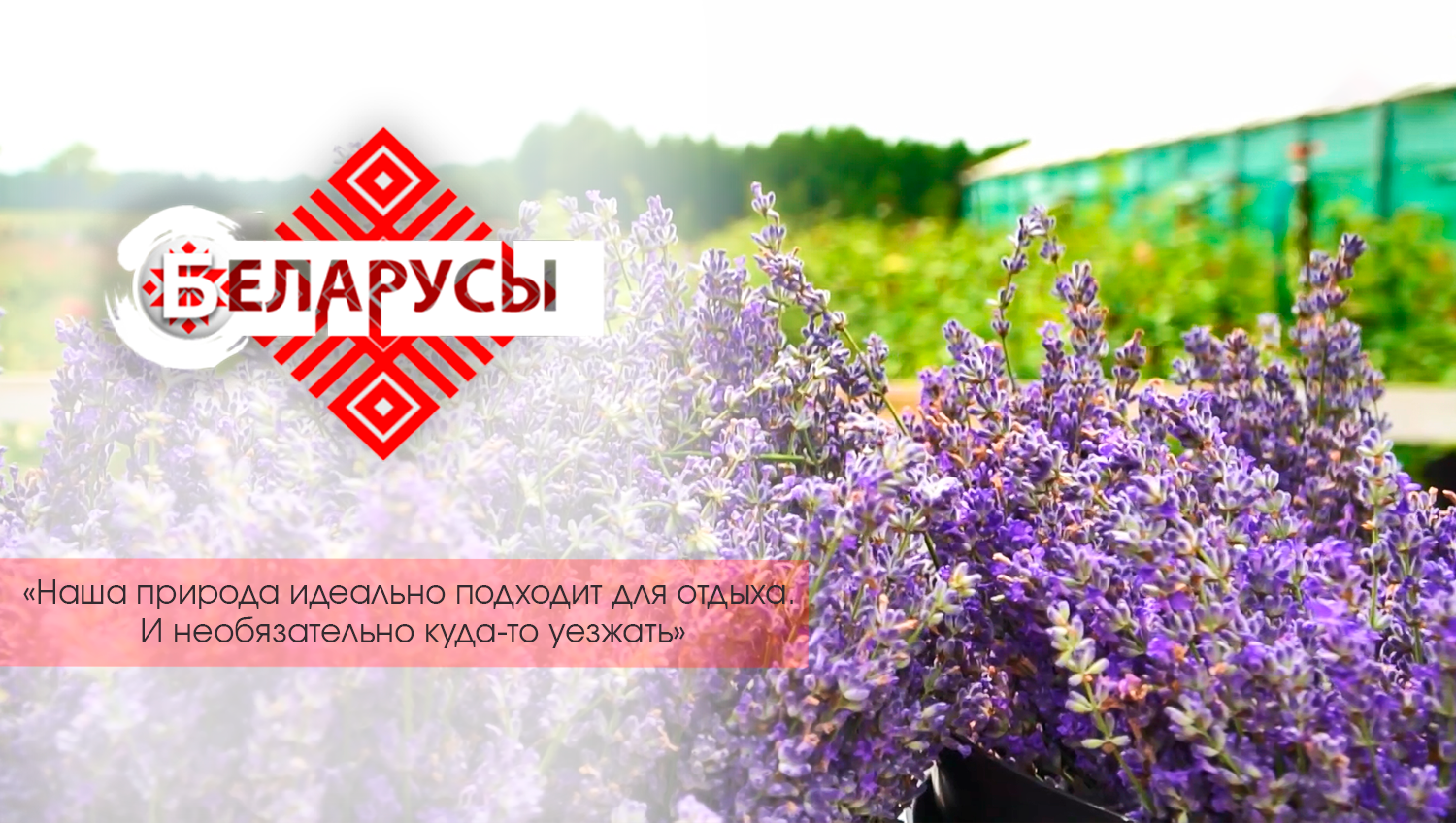 Как создать рай на земле? 3 истории о рукотворных местах, где отдыхает тело и разум