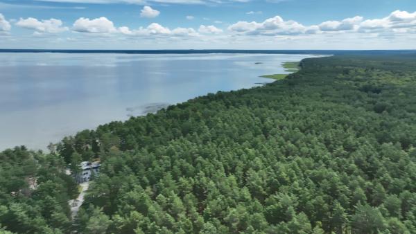 АКЦЕНТЫ ДНЯ