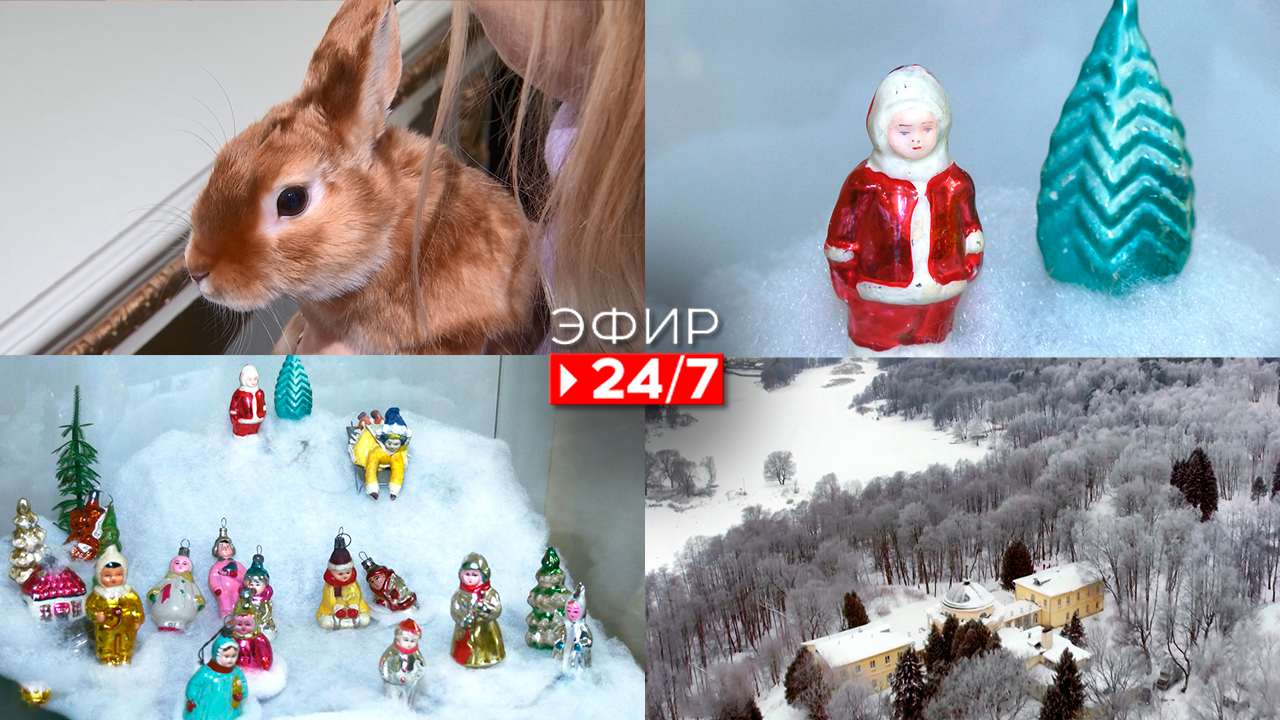Эфир 24/7   23.12.2022